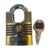1 Buckler Fortified Hardened Padlock - Antic Gold 70mm