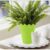 Multipurpose Plastic Storage Container - Decorative Flower Vase, Spoon Holder, Or Desk Organizer For Home & Office